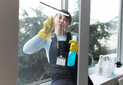 Nettoyage de vitres intérieures et extérieures à Rilhac-Rancon